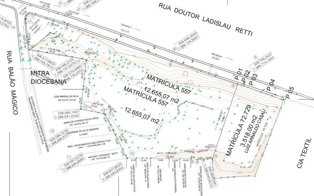  - Área (ZUM) com 16.537 m² - Altura Km 29 Rod. Rap. Tavares
