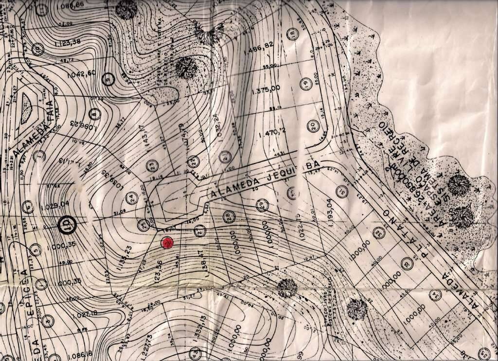  - Condomínio Forest Hills - Lote em final de rua, aclive, com vegetação