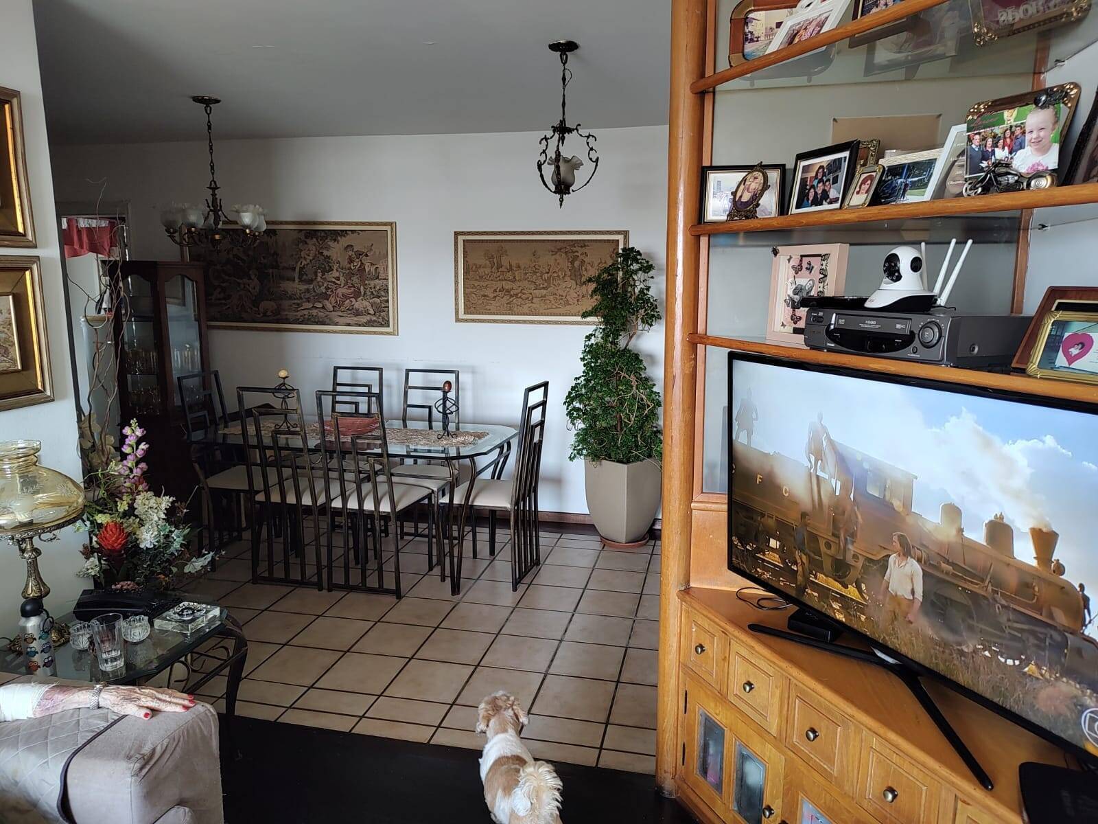 Apartamento à venda com 3 quartos, 129,00m² - água Branca,