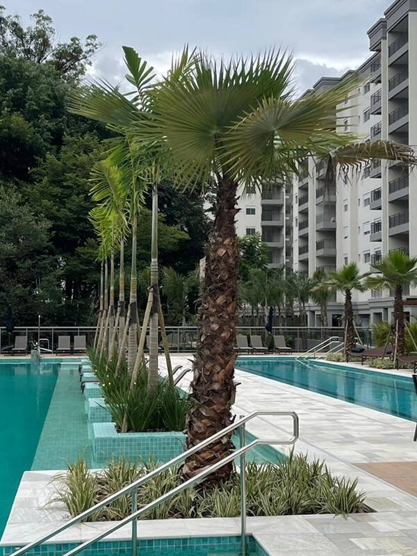 Apartamento à venda com 2 quartos, 67m² - Santo Amaro,