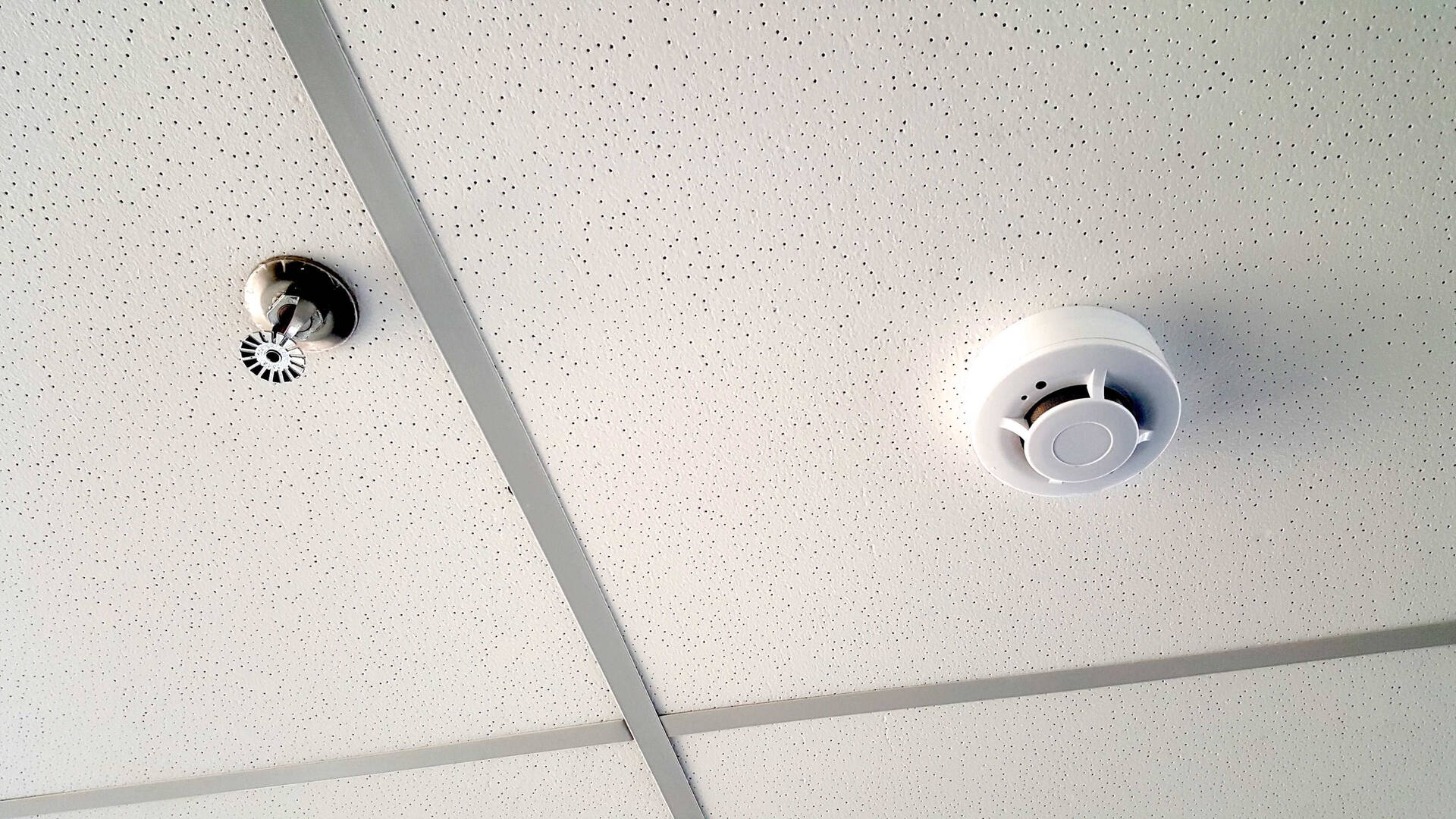  - Sala Comercial 316 m2 Chácara Santo Antônio